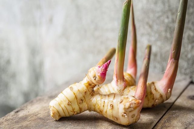 Củ riềng có tác dụng gì?